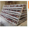 Chicken cage for poultry farm for nigeria/layer chicken cage/chicken coops direct